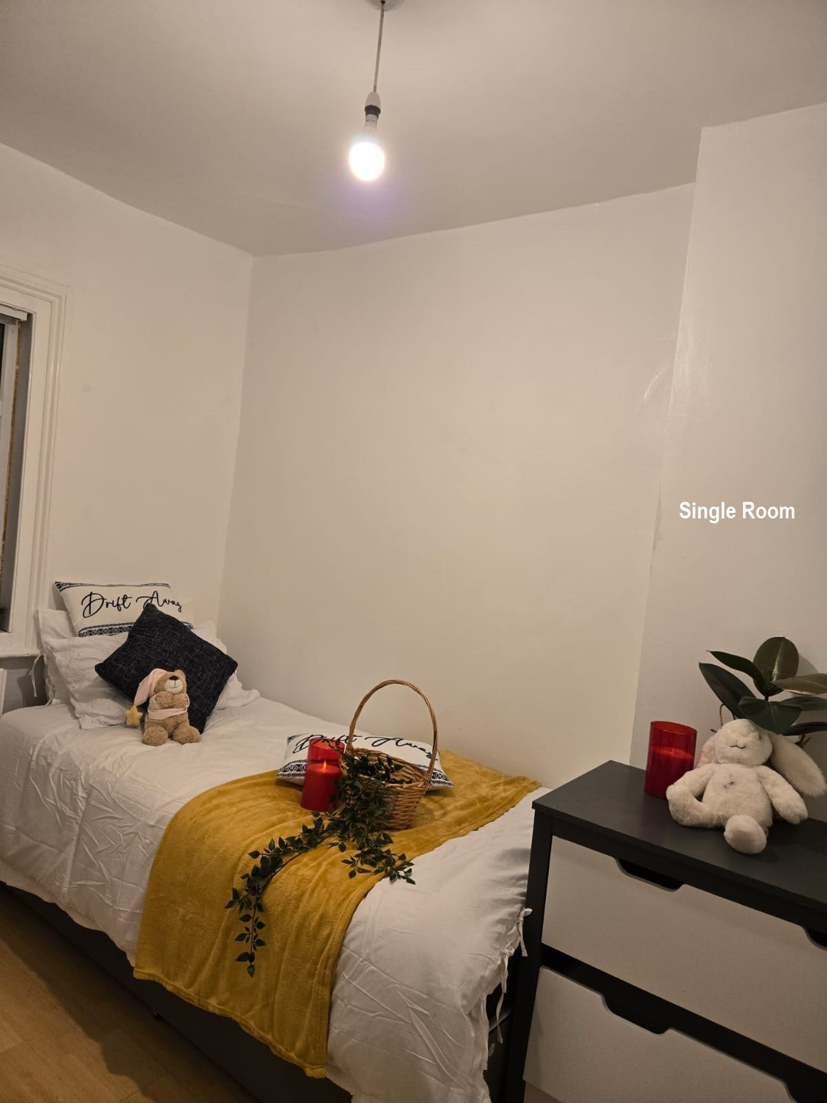 11 Normanton Terrace photo 3